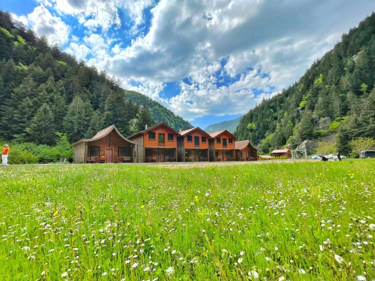 Raha Uzungöl